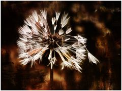 Pusteblume in Art