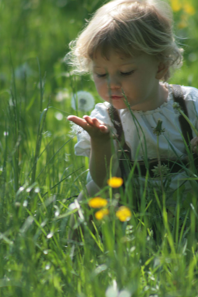 Pusteblume in der Hand 3