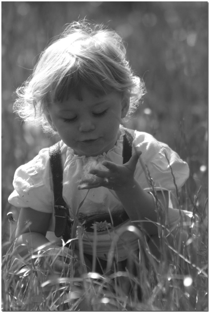 Pusteblume in der Hand