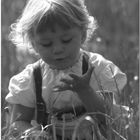 Pusteblume in der Hand