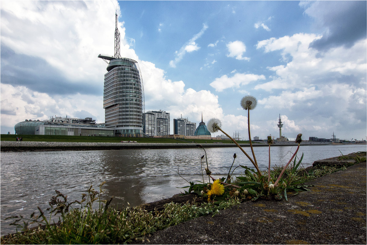 Pusteblume und Skyline...