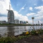 Pusteblume und Skyline...