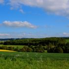 Pusteblume vor Westerwaldlandschaft