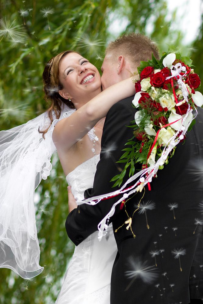 Pusteblumen bei einer Hochzeit im Juli