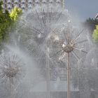 Pusteblumenbrunnen auf der Pragerstrasse