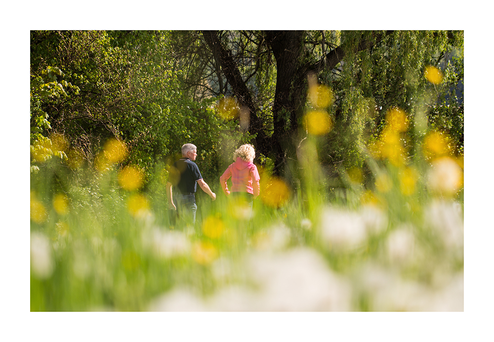 Pusteblumenwiese