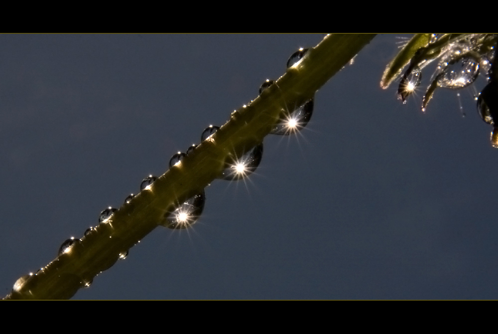 Pustelchen mit Wasser IV