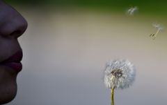 Pustemund und Blume