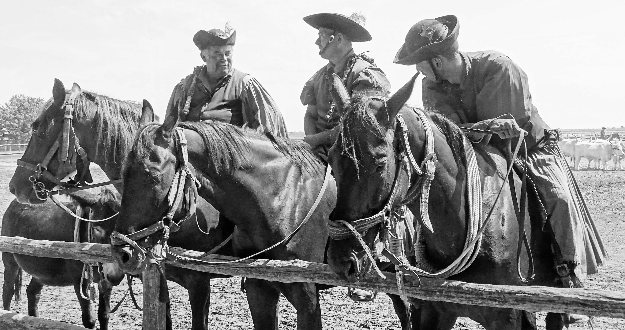 Puszta Cowboys