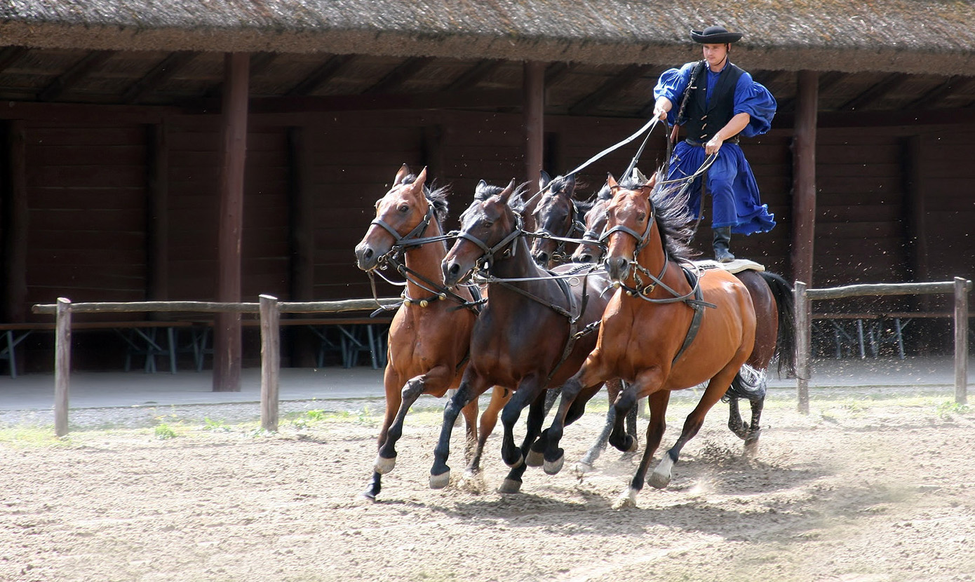 -  " Puszta - Fünfer " - 