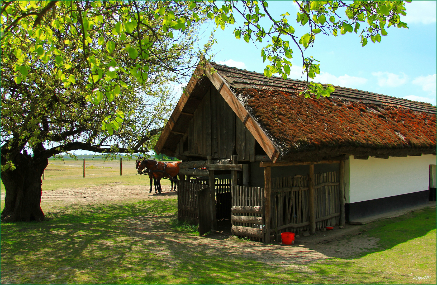 ~ Puszta Idylle ~