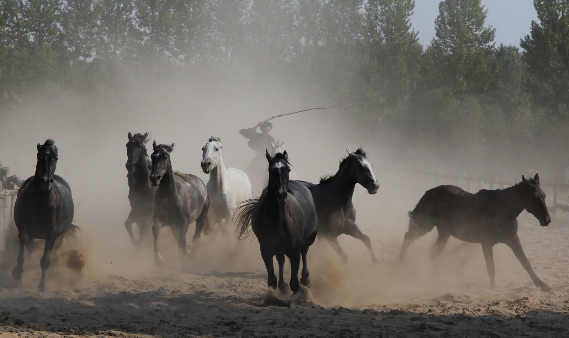 puszta ungarn Foto & Bild europe, hungary, budapest Bilder auf