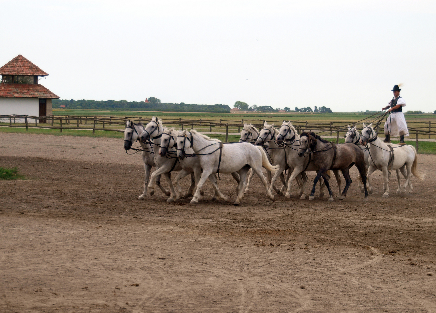 Puszta, Ungarn