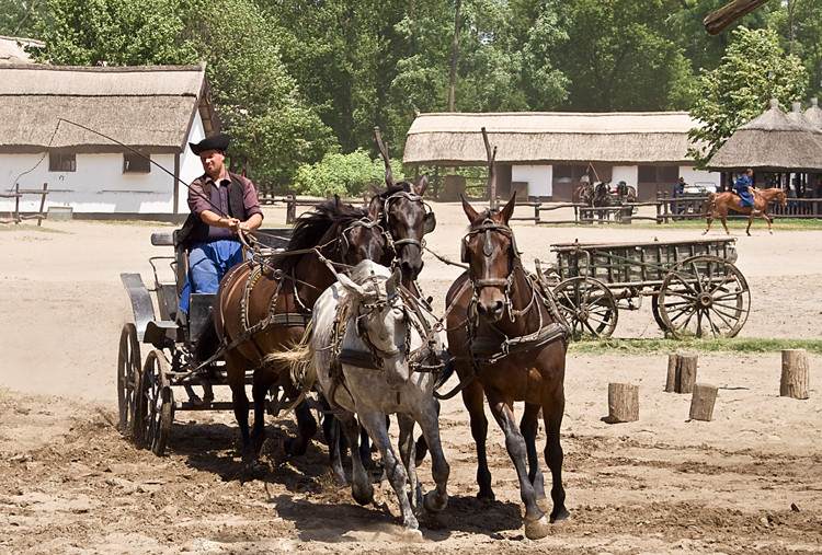 Puszta.08