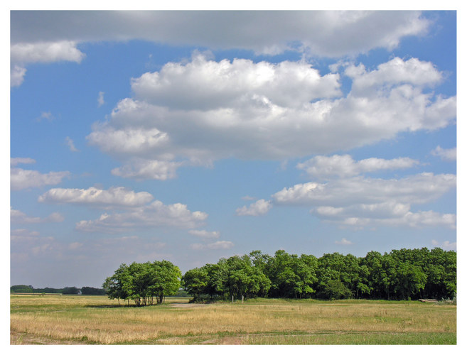 Pusztalandschaft