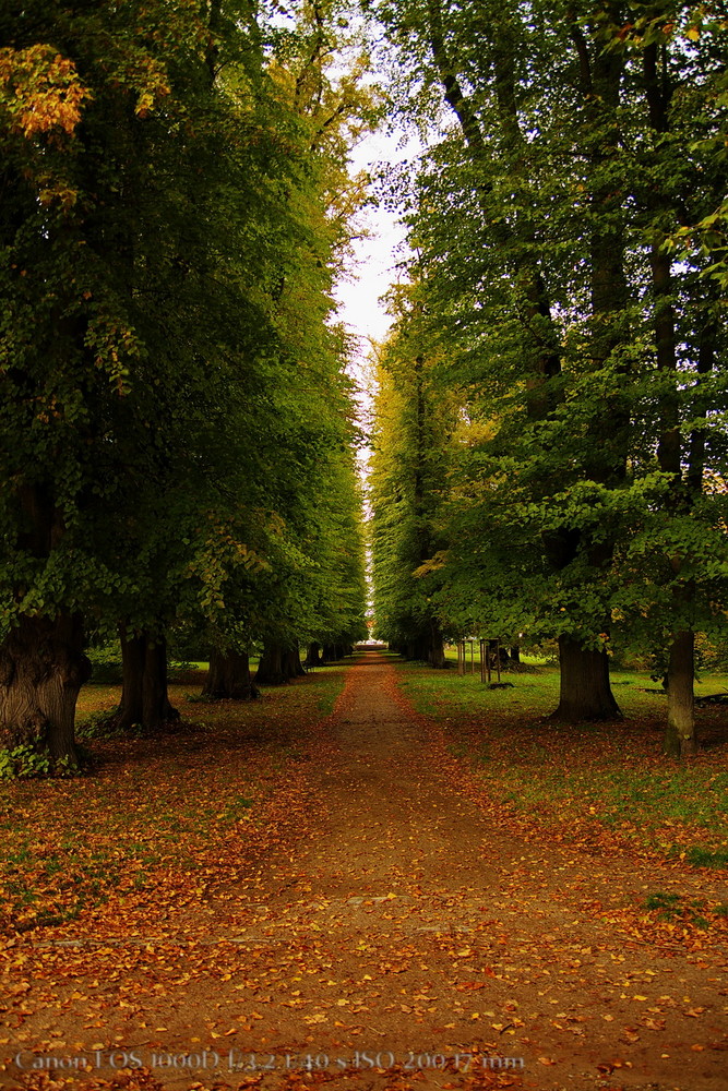 Putbus im Herbst