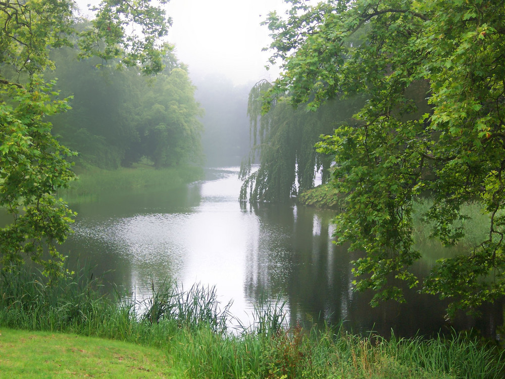 Putbuser Stadtgarten im Morgennebel