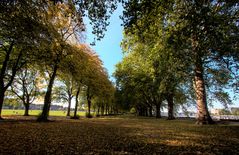 Putney Autumn