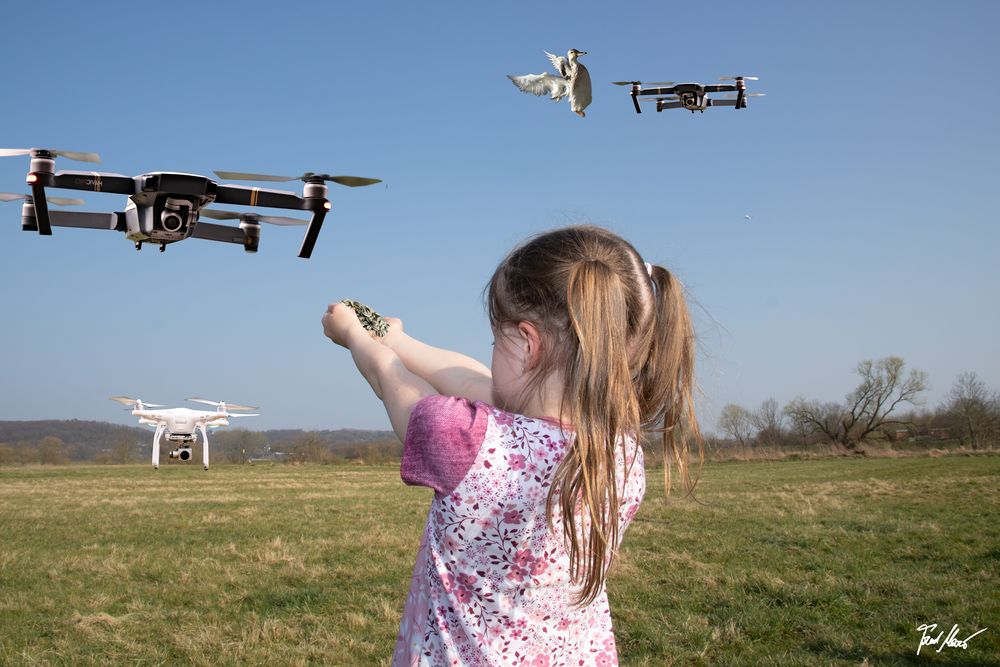 Putputputput !  / Feeding Drones