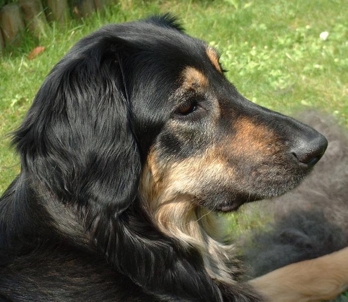 Puttchen beim Friseur