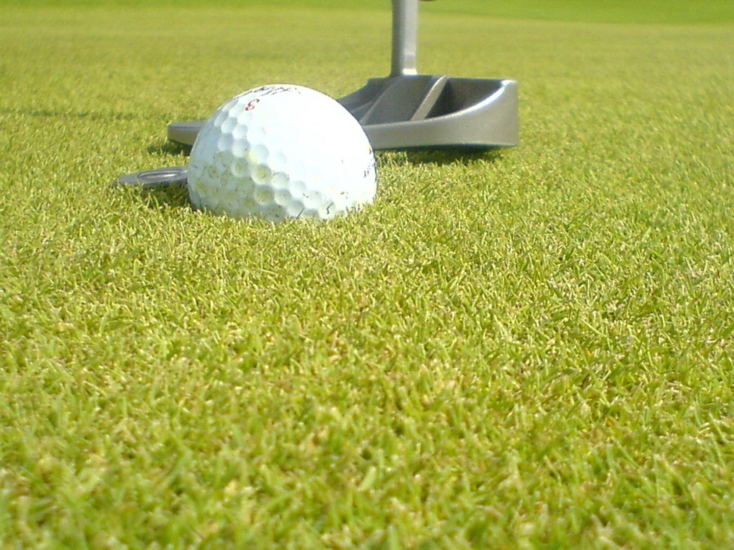 putten Foto & Bild sport, ballsport, golfsport Bilder auf