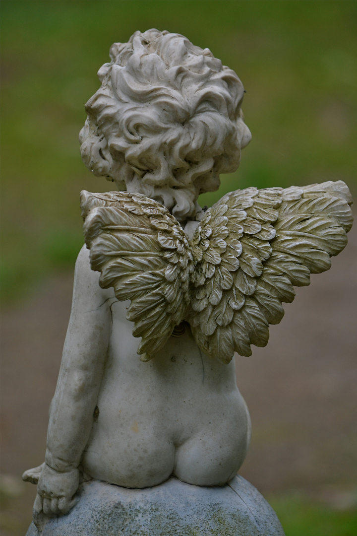 Putto oder (B)Engel?