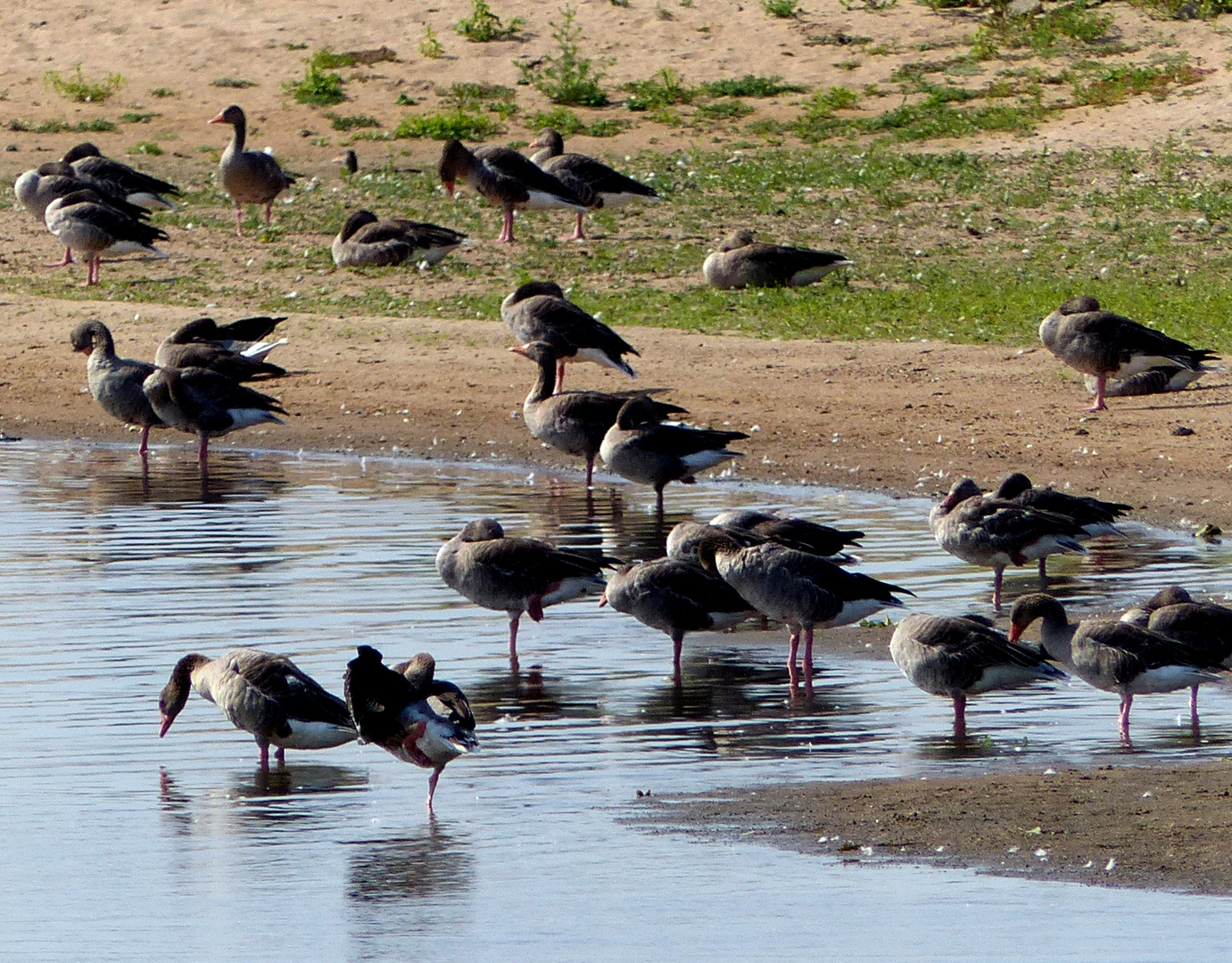 Putz- und Schlafstunde an der Havel