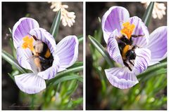 Putzmunter in Frühling