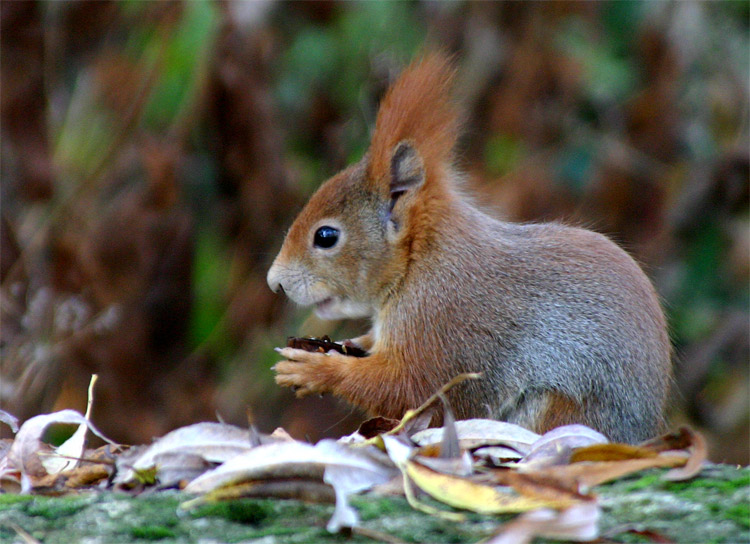 Putzmunter und hungrig