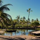 Pu´uhonua o Honaunau 