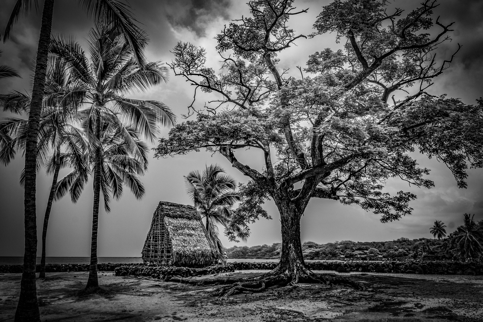 Pu'uhonua o Honaunau