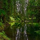 Puzlisee , Maderanertal , Bristen