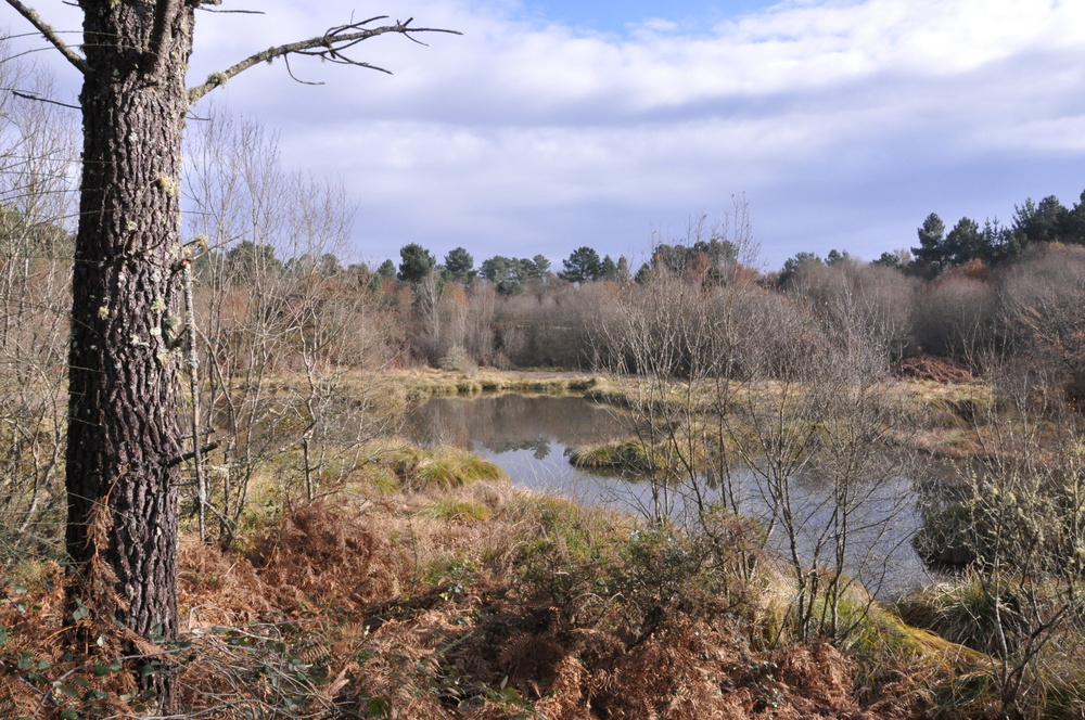 Puzo do Lago