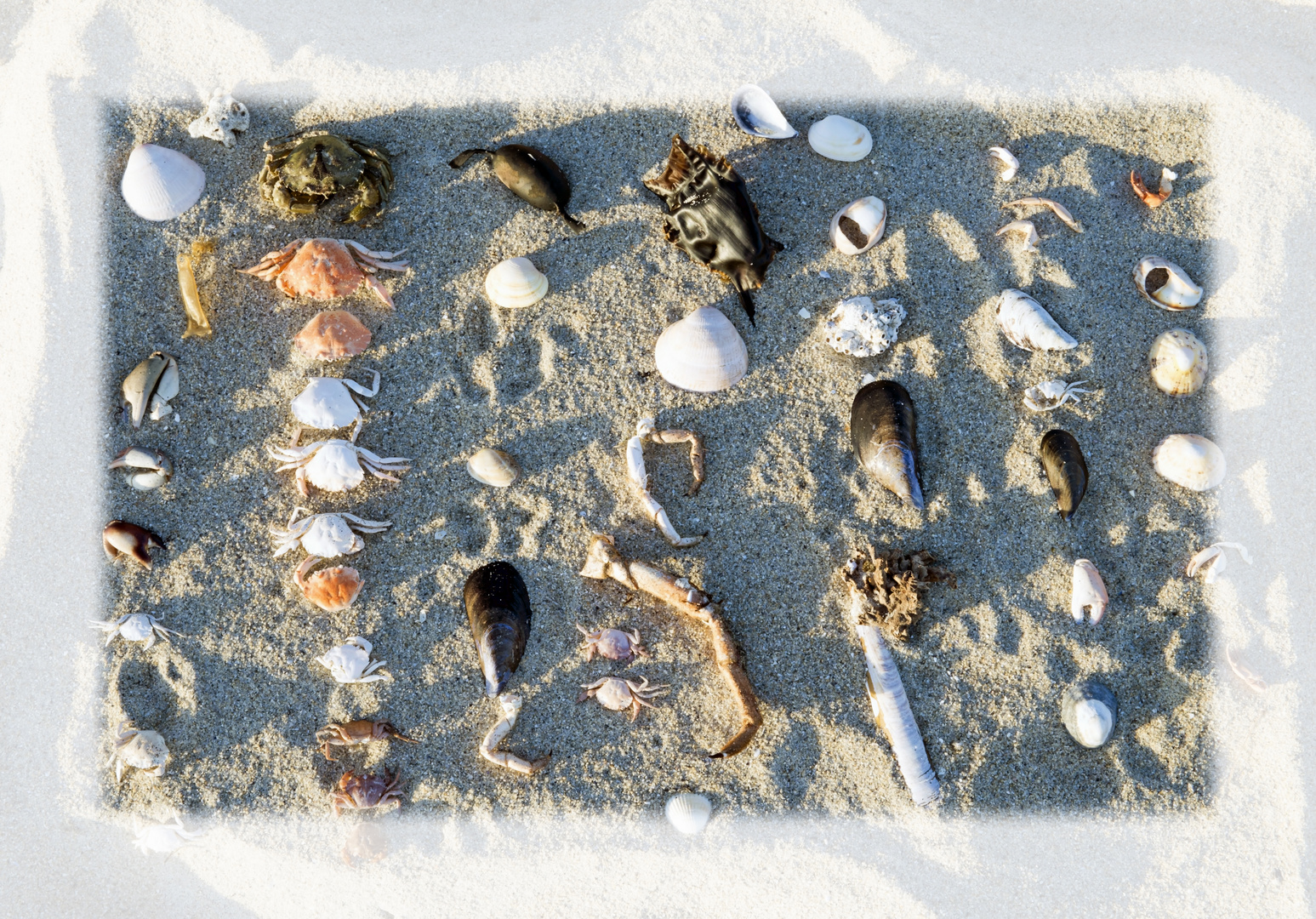 PUZZLE AM STRAND IN DER BRETAGNE