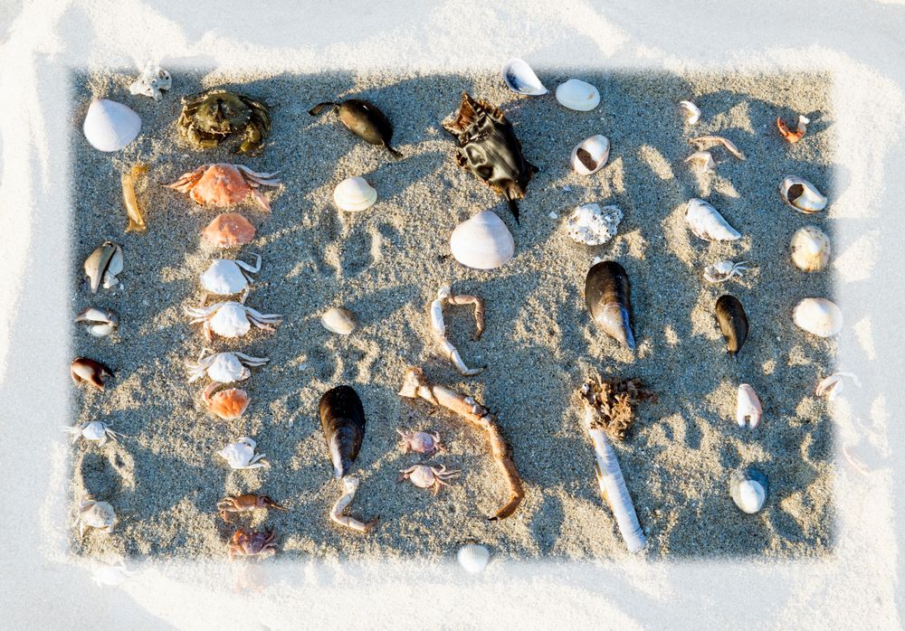 PUZZLE AM STRAND IN DER BRETAGNE