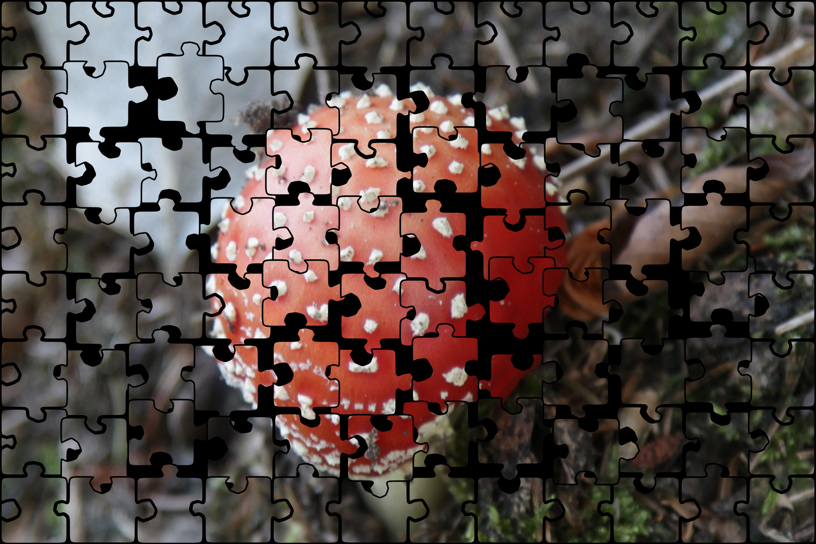 "Puzzle Zeit"