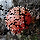 "Puzzle Zeit"