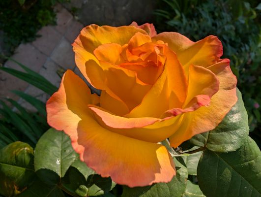 PXL_20250502_065057866