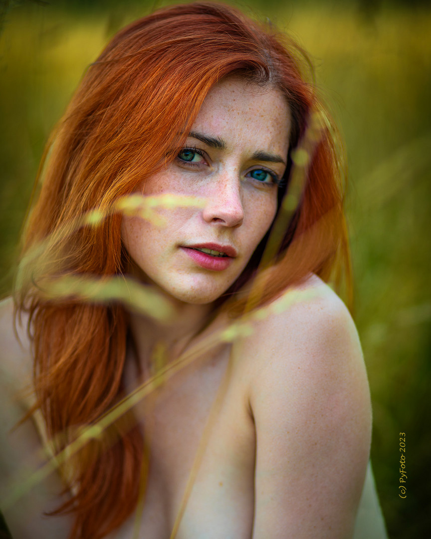 PyFoto-9943