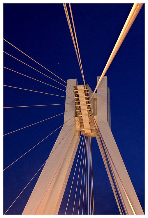 Pylon-Brücke Ludwigshafen