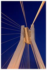 Pylon-Brücke Ludwigshafen