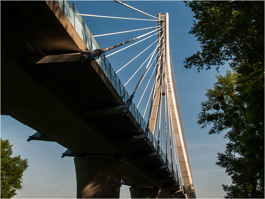 Pylon der Elbauenbrücke