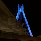 Pylon in Ludwigshafen bei Nacht