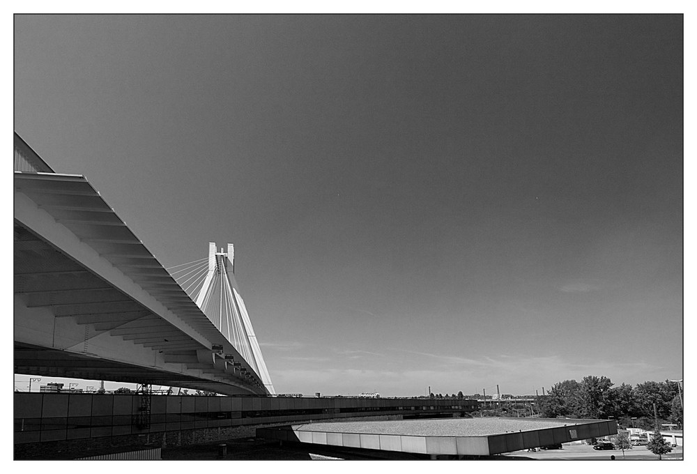 Pylonbrücke am Hauptbahnhof Ludwigshafen