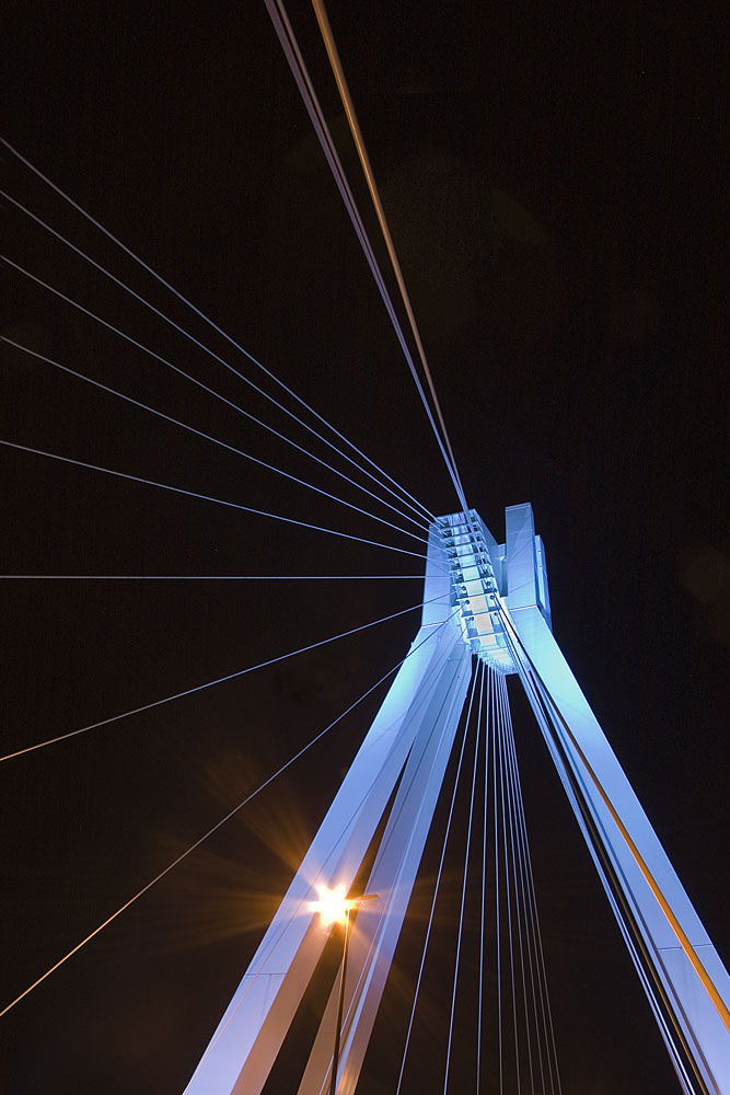 Pylonbrücke in Ludwgshafen part 4