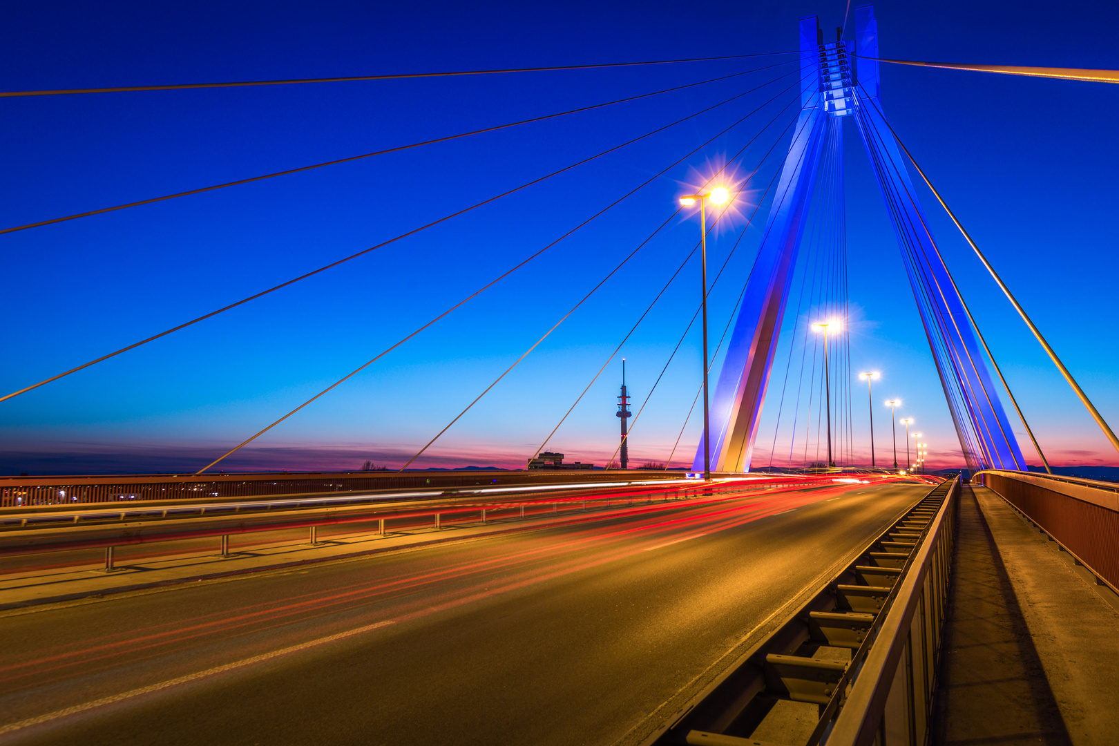 Pylonbrücke Ludwigshafen am Rhein