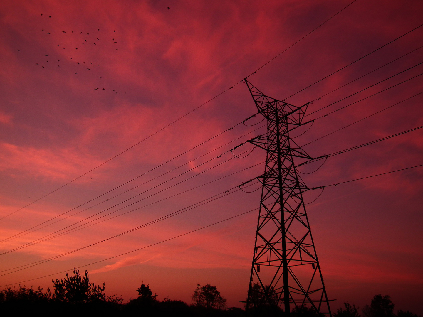 Pylons at sunrise