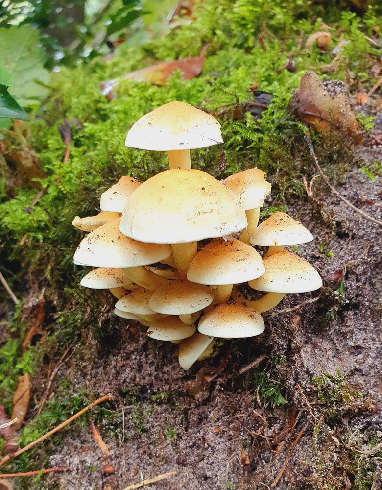 Pyramide Foto & Bild landschaft, lebensräume, natur Bilder auf