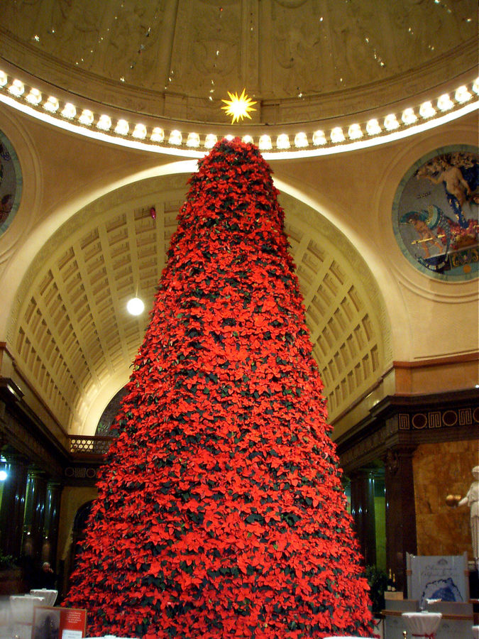 Pyramide aus Weihnachtssternen