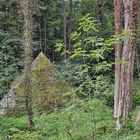 Pyramide im Wald